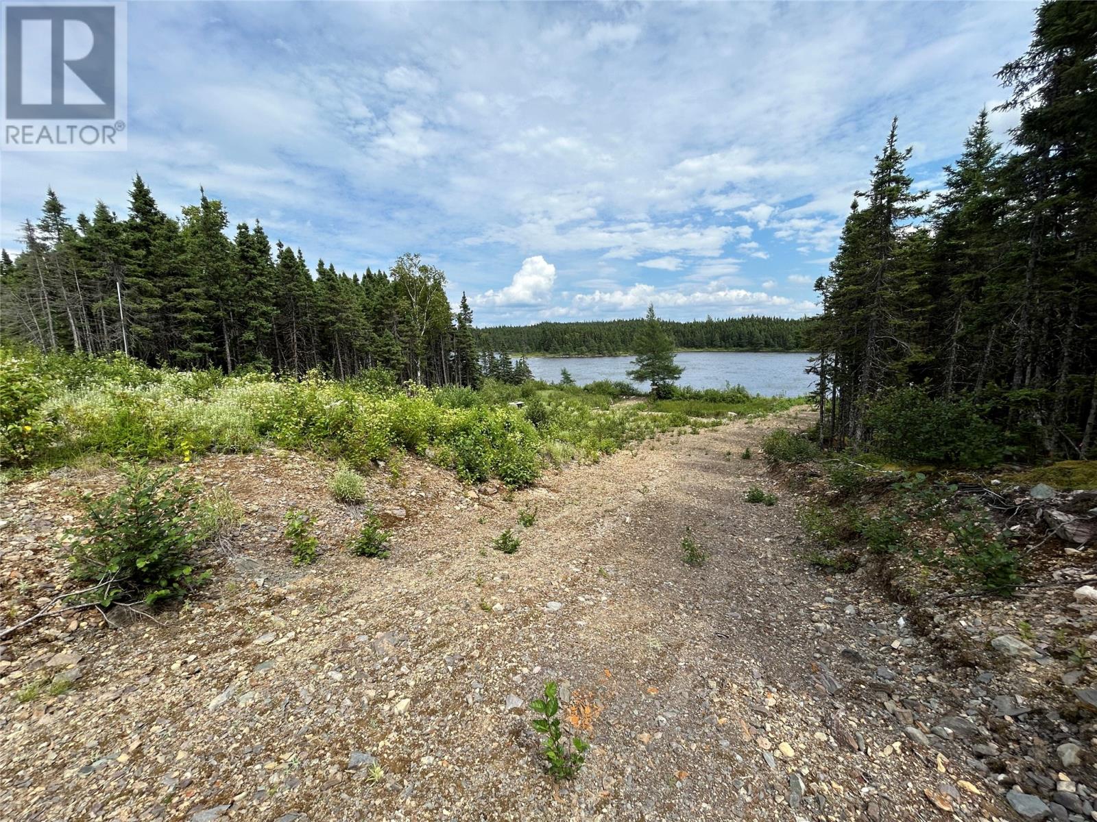 Lot 57297 Nugent's Lake, Grand Falls-Windsor, Newfoundland & Labrador  A2A 2G3 - Photo 12 - 1285447