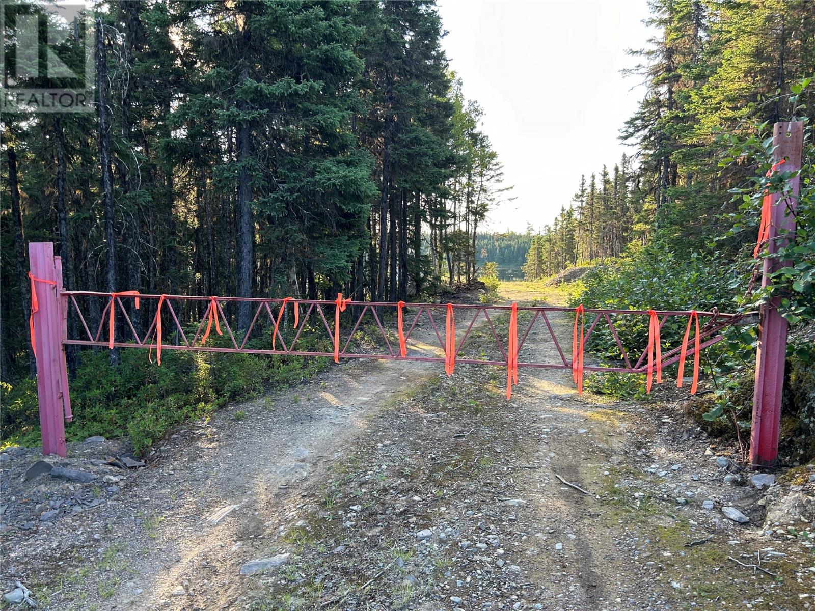 Lot 57297 Nugent's Lake, Grand Falls-Windsor, Newfoundland & Labrador  A2A 2G3 - Photo 16 - 1285447