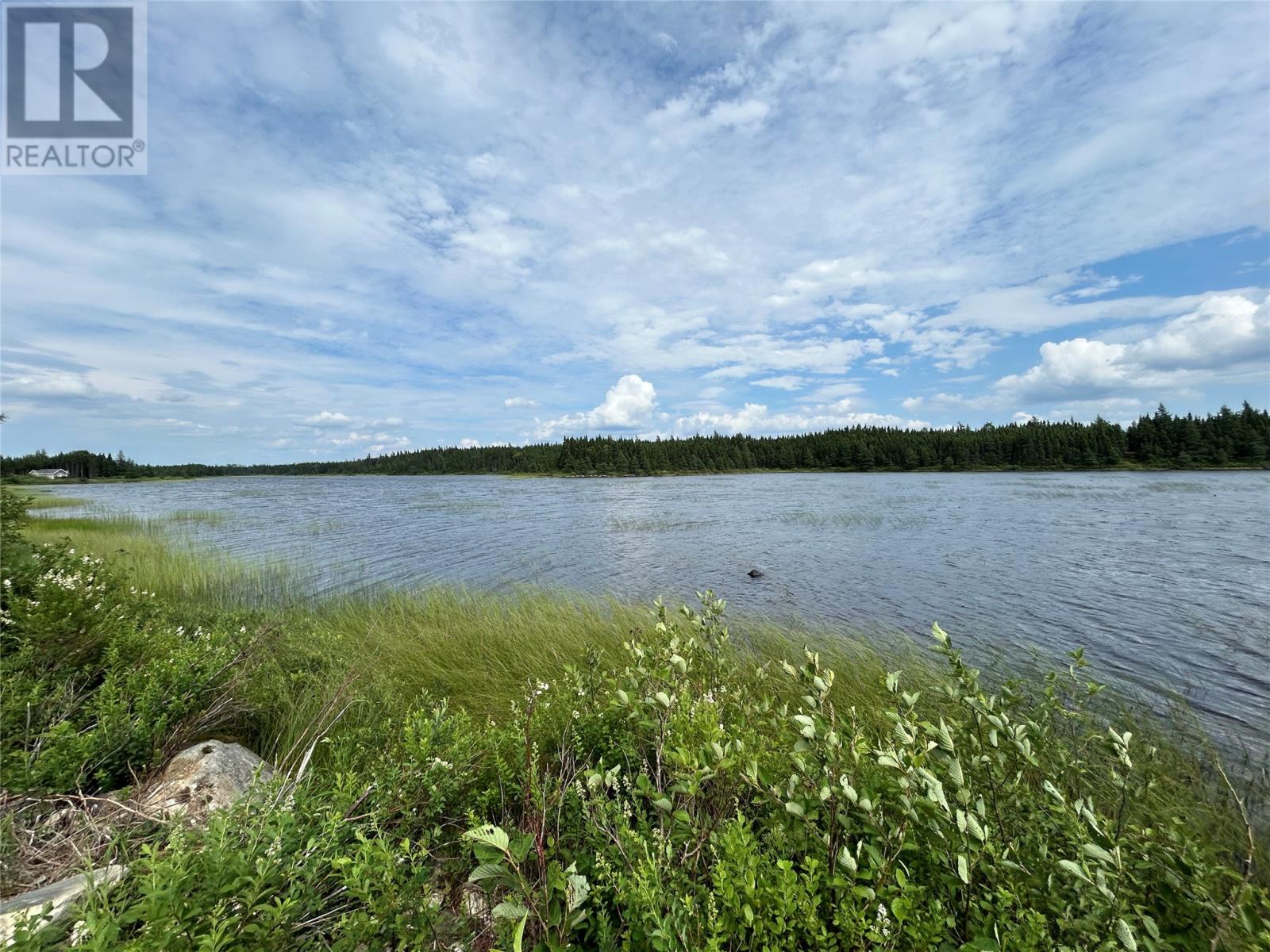 Lot 57297 Nugent's Lake, Grand Falls-Windsor, Newfoundland & Labrador  A2A 2G3 - Photo 8 - 1285447