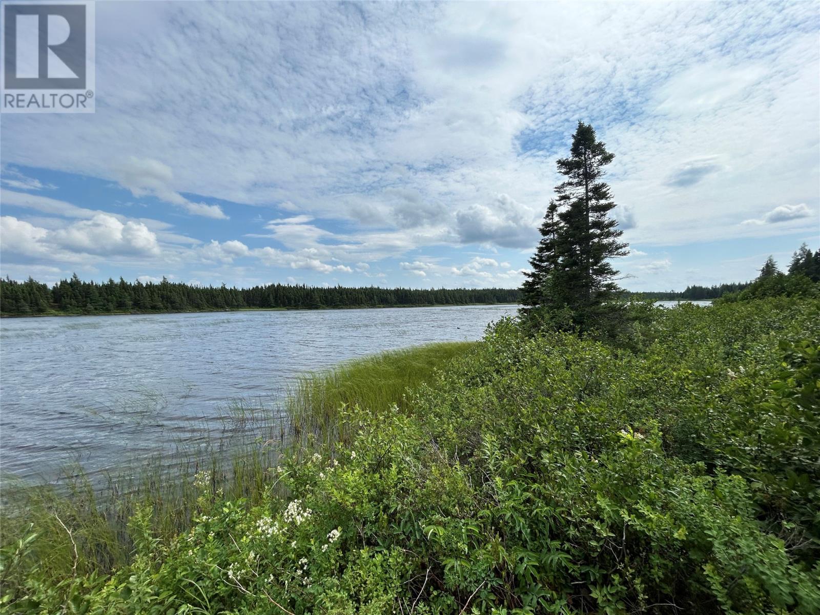 Lot 57297 Nugent's Lake, Grand Falls-Windsor, Newfoundland & Labrador  A2A 2G3 - Photo 9 - 1285447