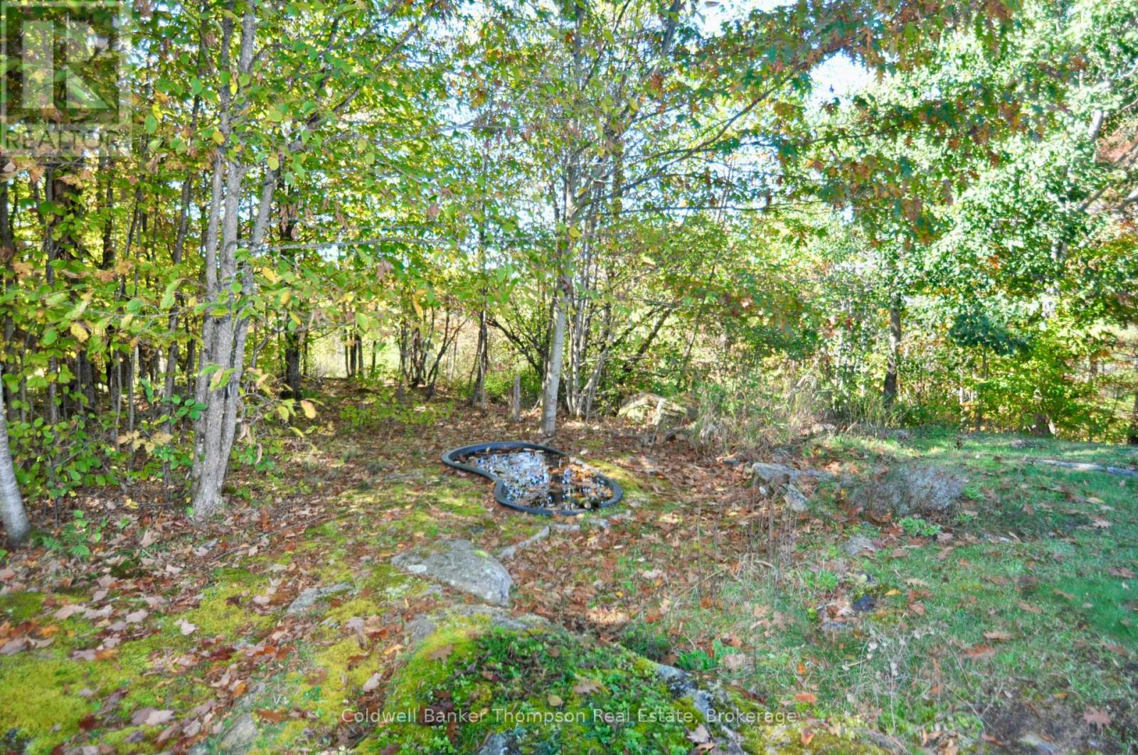 625 Bayshore Boulevard, Huntsville, Ontario  P1H 1Z1 - Photo 42 - X12436062