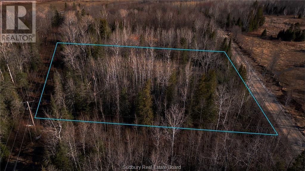 Lot 20 High Falls Road, Assiginack, Ontario  P0P 1N0 - Photo 14 - 2124993