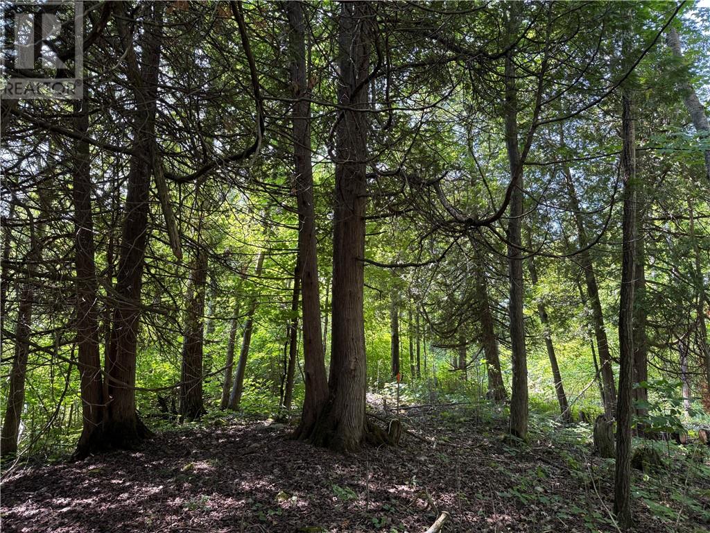 Lot 20 High Falls Road, Assiginack, Ontario  P0P 1N0 - Photo 2 - 2124993