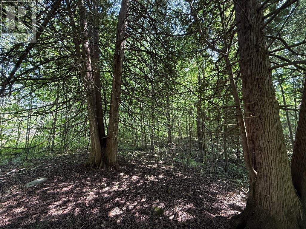Lot 20 High Falls Road, Assiginack, Ontario  P0P 1N0 - Photo 5 - 2124993