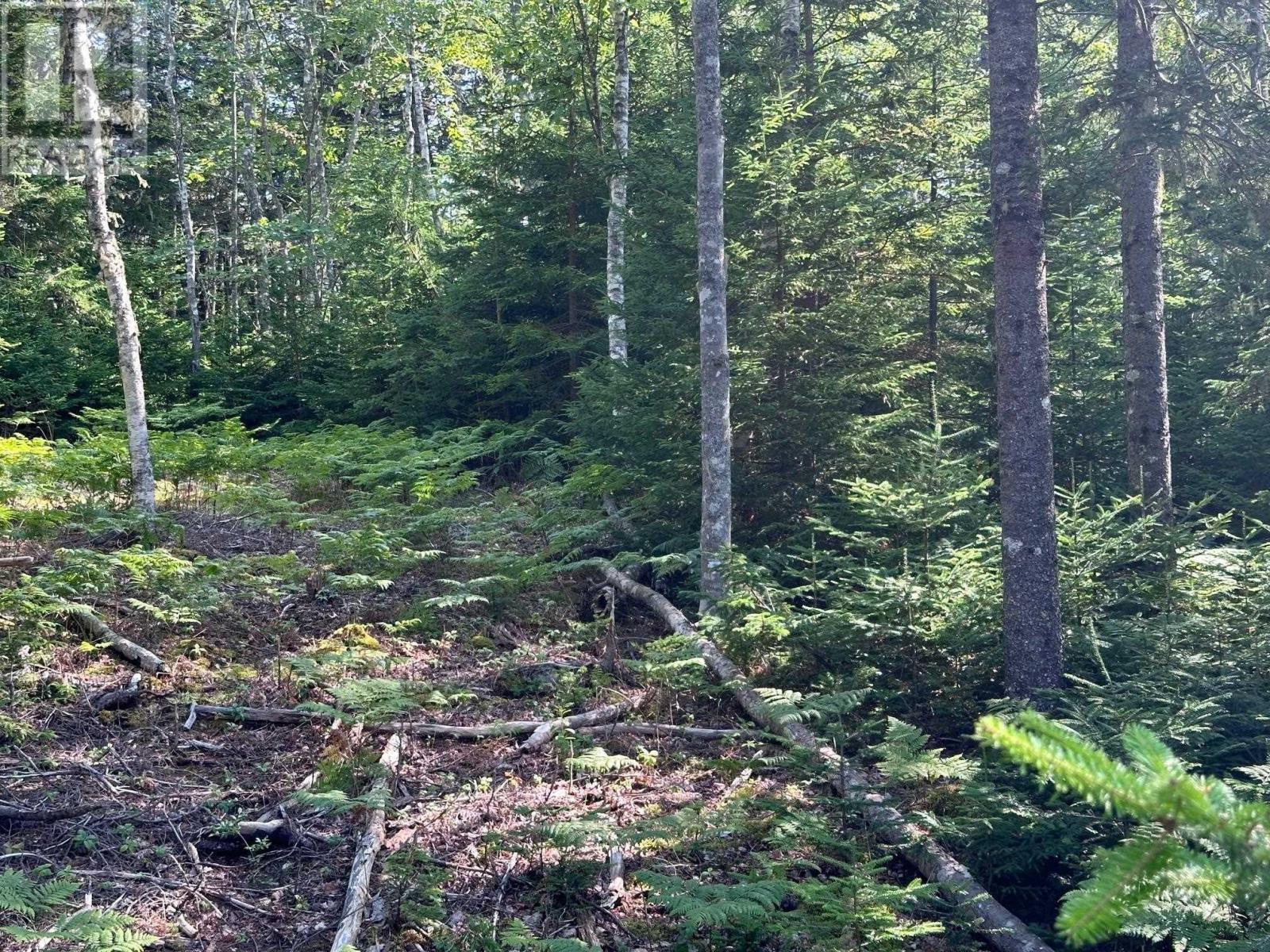 Lot 9 Fire Cove Road, Feltzen South, Nova Scotia  B0J 2X0 - Photo 15 - 202524681