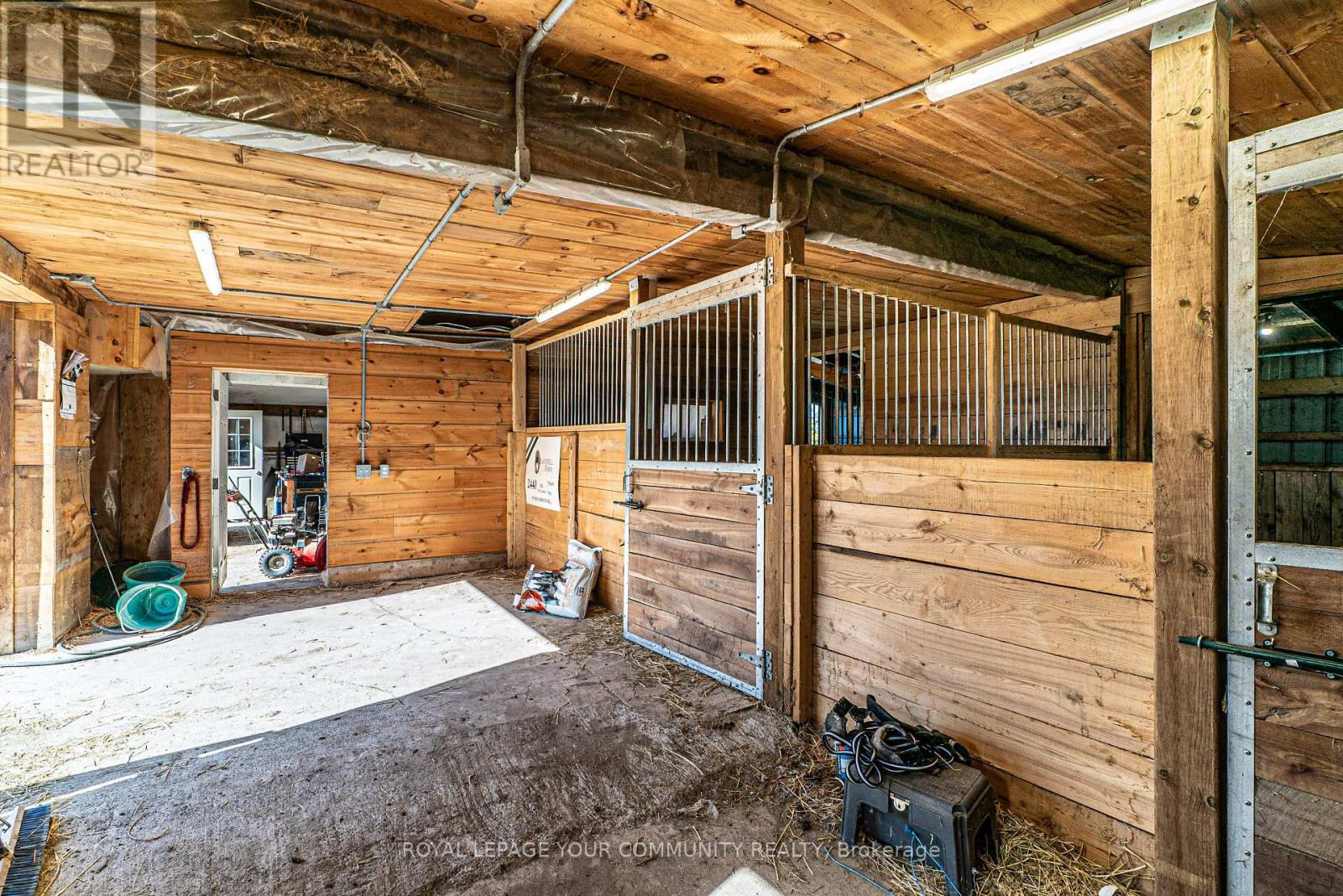 3752 Hwy 35 Highway, Kawartha Lakes, Ontario  K0M 1G0 - Photo 34 - X12436025