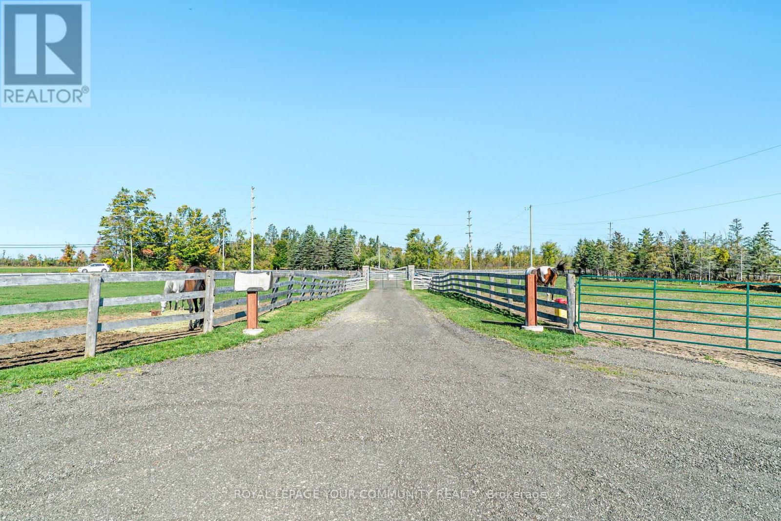 3752 Hwy 35 Highway, Kawartha Lakes, Ontario  K0M 1G0 - Photo 38 - X12436025
