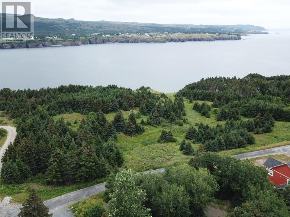 32-46 Woodrow's Road, Northern Bay, Newfoundland & Labrador  A0A 3B0 - Photo 3 - 1291032
