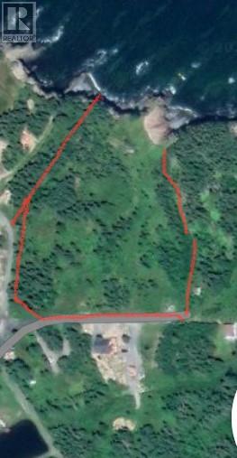 32-46 Woodrow's Road, Northern Bay, Newfoundland & Labrador  A0A 3B0 - Photo 4 - 1291032