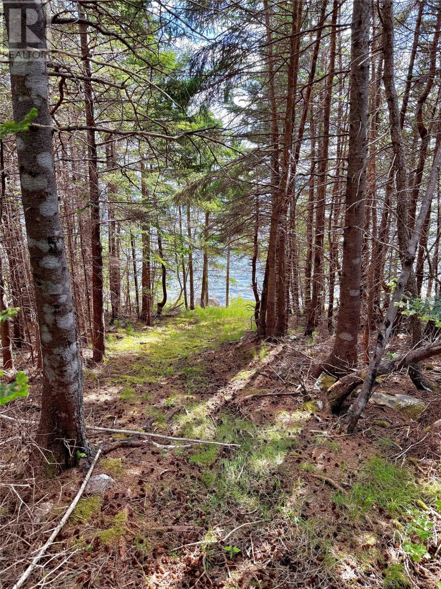 33 Oceanview Crescent, Brooklyn, Newfoundland & Labrador  A0C 1V0 - Photo 4 - 1287039