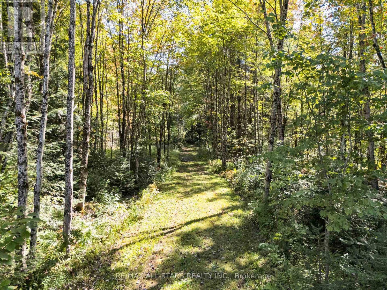 1435 Falkenburg Road, Muskoka Lakes, Ontario  P1L 1X4 - Photo 48 - X12419483