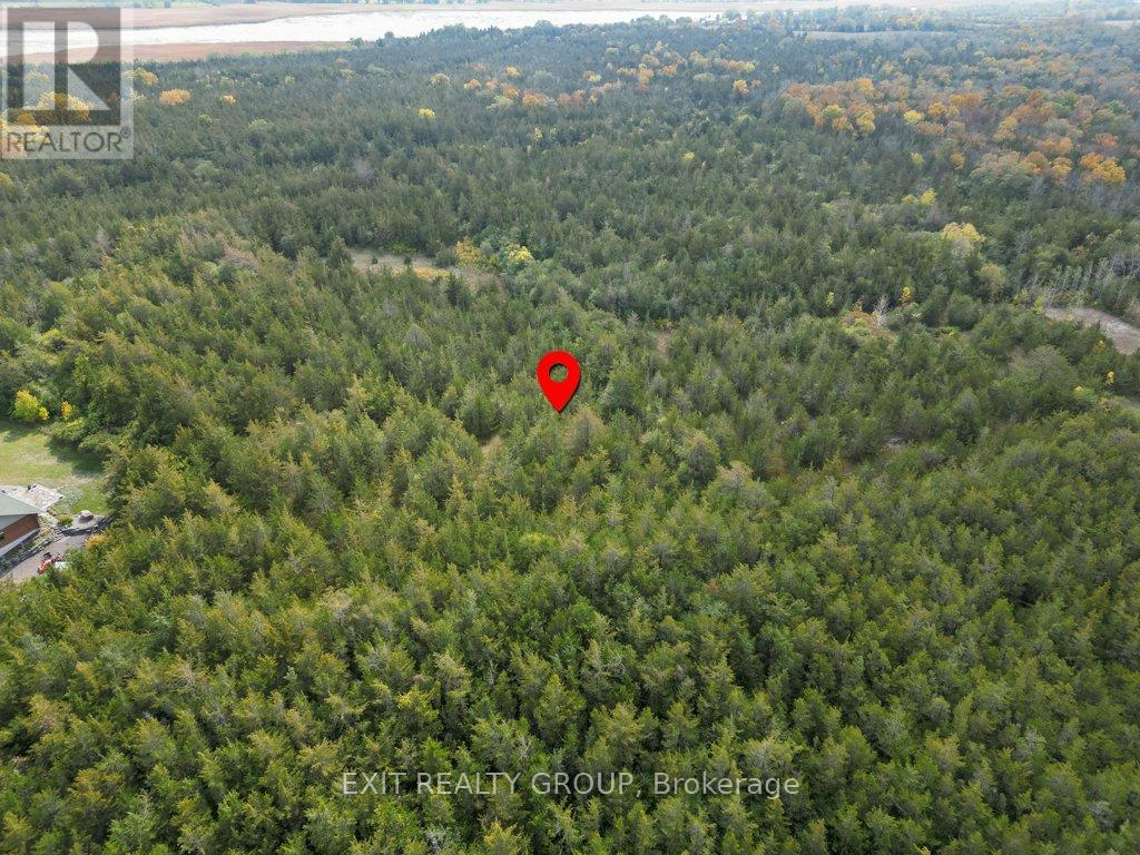 1774 North Big Island Road, Prince Edward County (Sophiasburg Ward), Ontario  K0K 1W0 - Photo 23 - X12436196