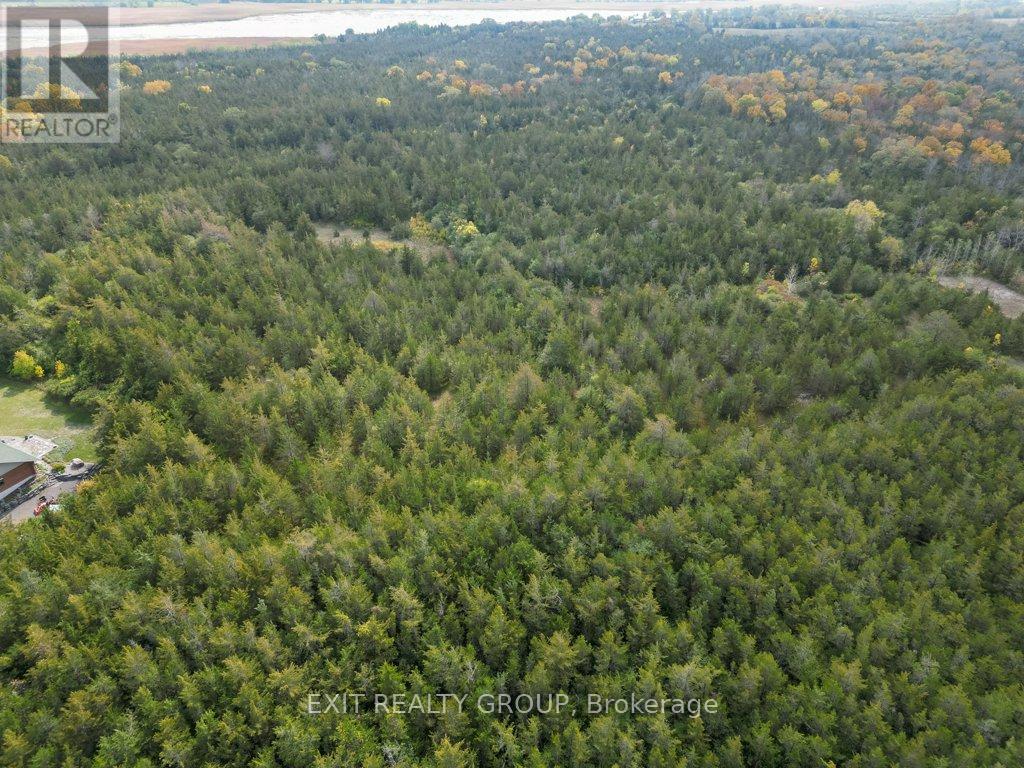 1774 North Big Island Road, Prince Edward County (Sophiasburg Ward), Ontario  K0K 1W0 - Photo 24 - X12436196