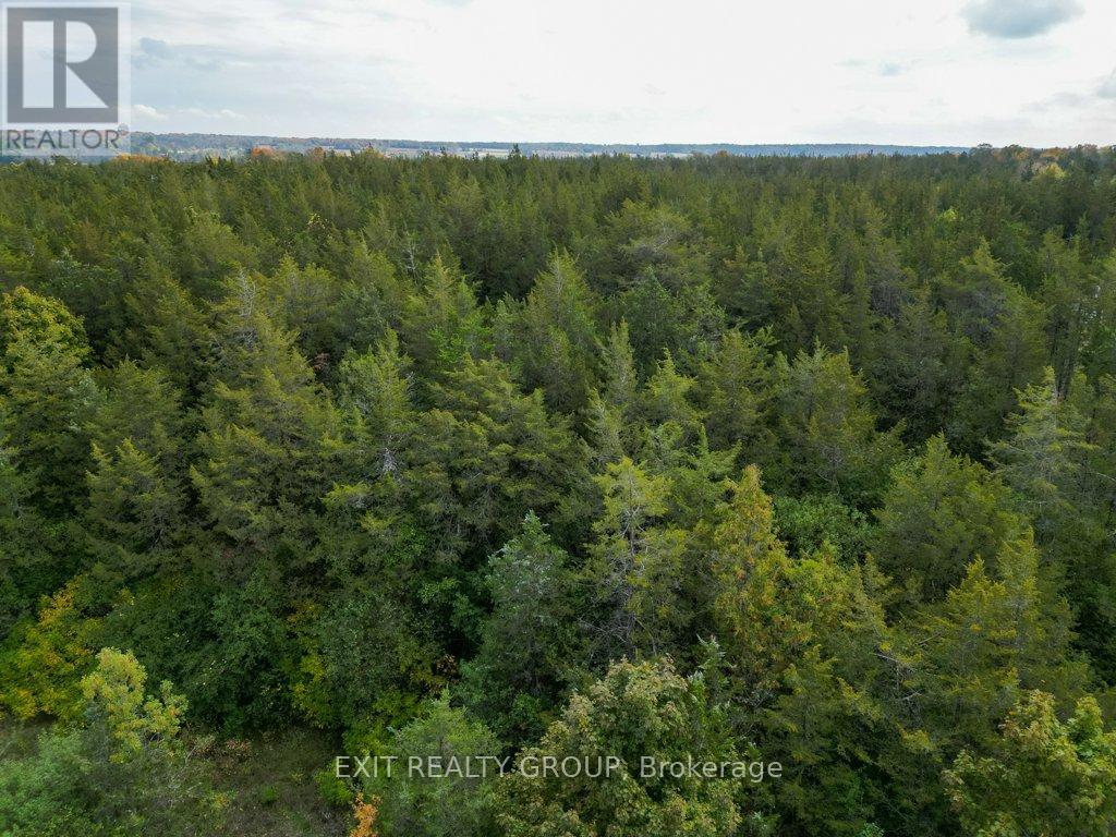 1774 North Big Island Road, Prince Edward County (Sophiasburg Ward), Ontario  K0K 1W0 - Photo 34 - X12436196