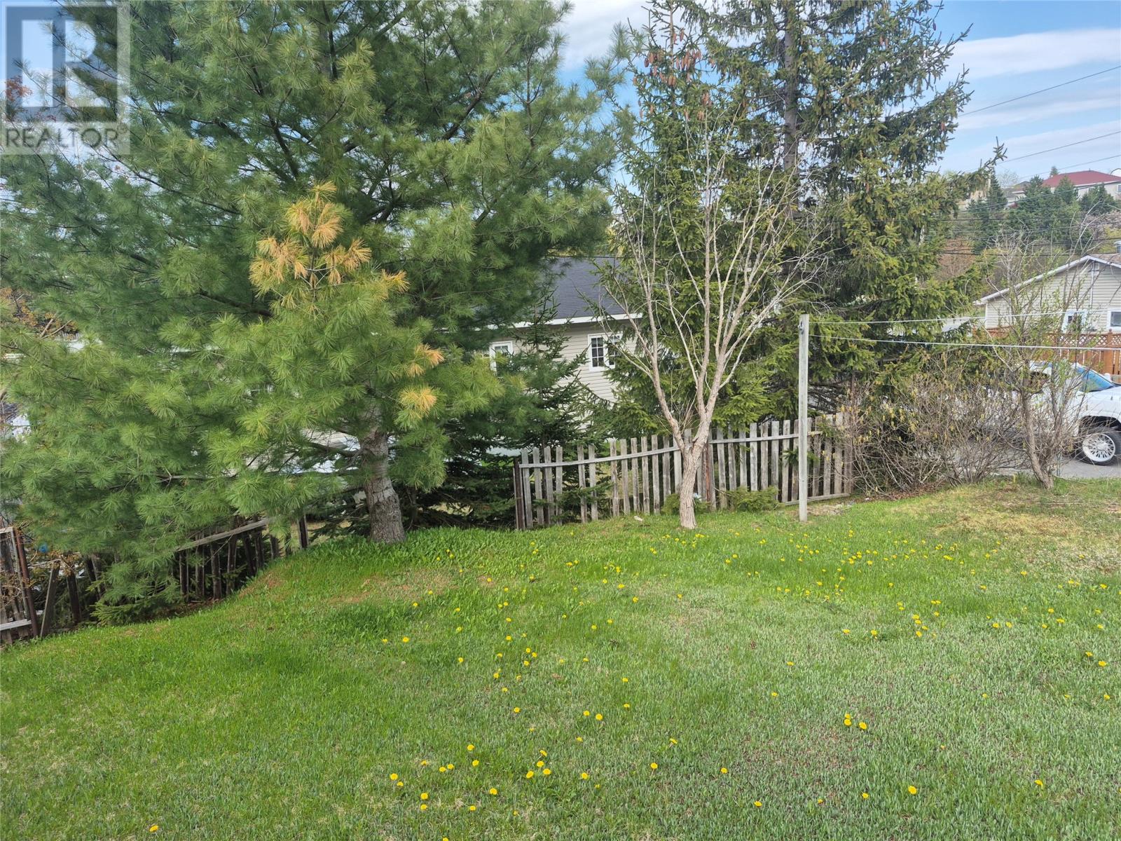 1 John's Place, Grand Falls-Windsor, Newfoundland & Labrador  A2B 1E3 - Photo 28 - 1286111