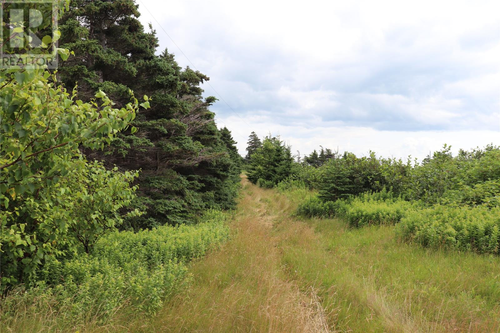 25 Main Road, Heatherton, Newfoundland & Labrador   - Photo 2 - 1275242
