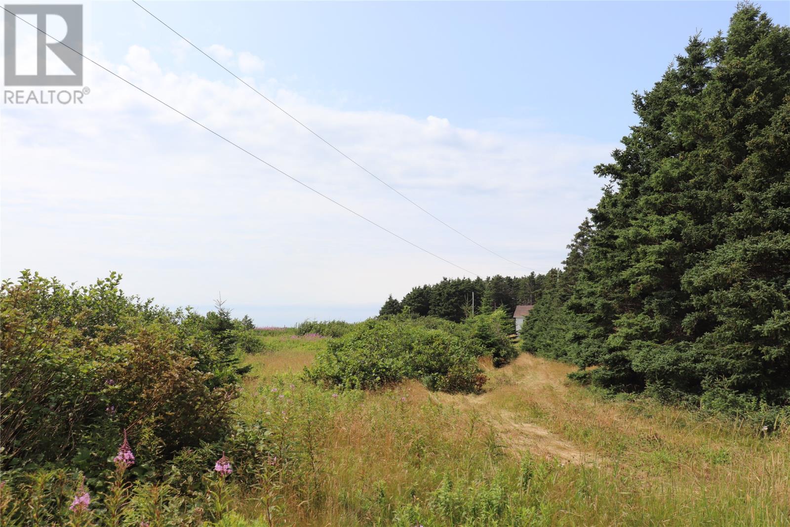 25 Main Road, Heatherton, Newfoundland & Labrador   - Photo 3 - 1275242