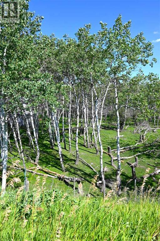 2513 3 Highway, Rural Pincher Creek No. 9, Alberta  T0K 1W0 - Photo 38 - A2247365