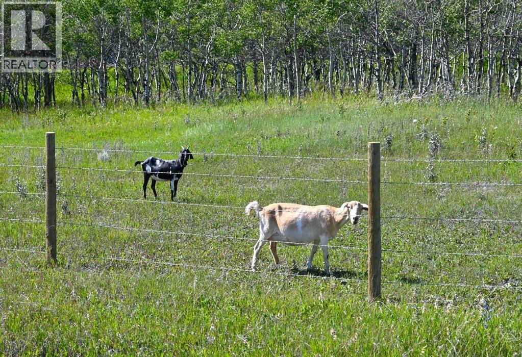 2513 3 Highway, Rural Pincher Creek No. 9, Alberta  T0K 1W0 - Photo 35 - A2247365