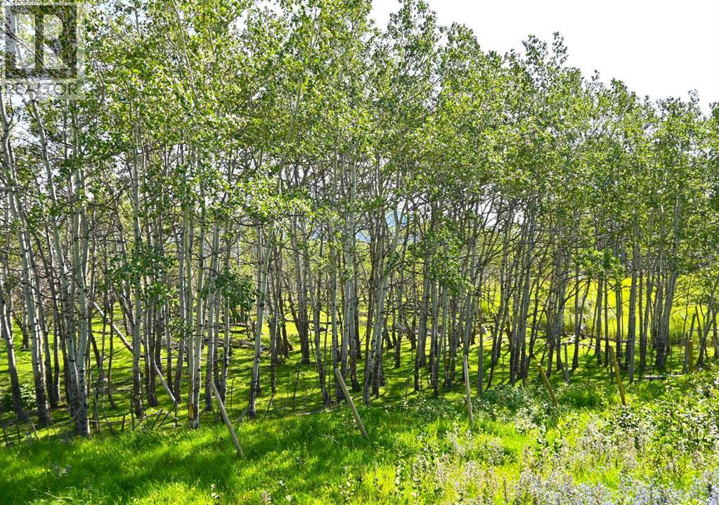 2513 3 Highway, Rural Pincher Creek No. 9, Alberta  T0K 1W0 - Photo 23 - A2247365