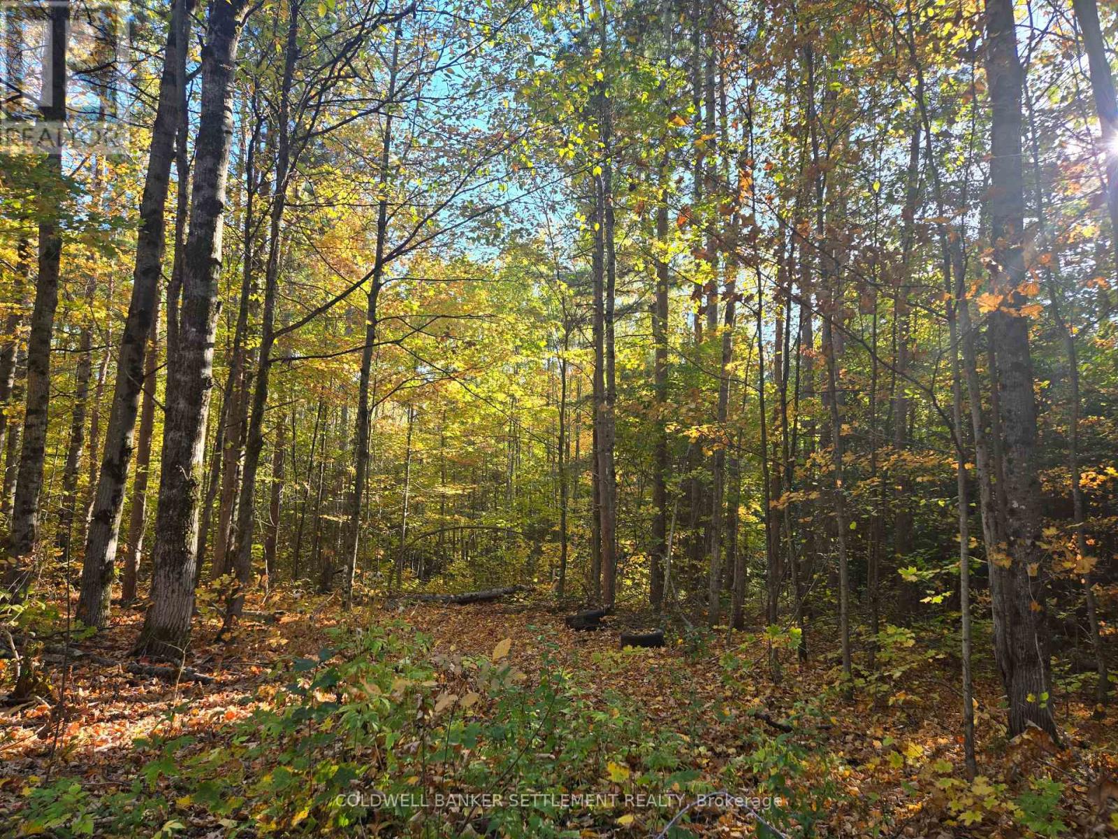 0 Dalhousie Con 4 Concession, Lanark Highlands, Ontario  K0G 1K0 - Photo 1 - X12436193