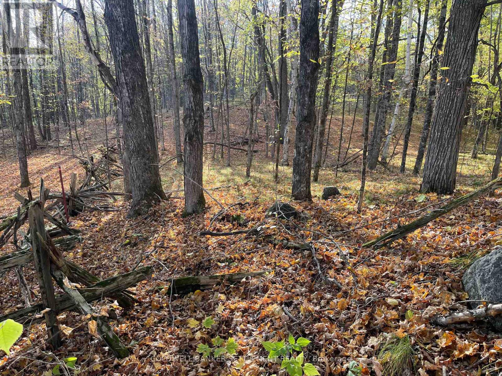 0 Dalhousie Con 4 Concession, Lanark Highlands, Ontario  K0G 1K0 - Photo 10 - X12436193