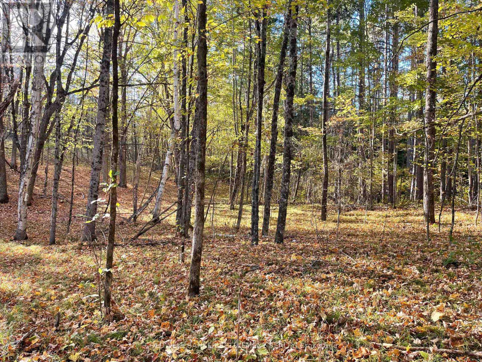 0 Dalhousie Con 4 Concession, Lanark Highlands, Ontario  K0G 1K0 - Photo 11 - X12436193