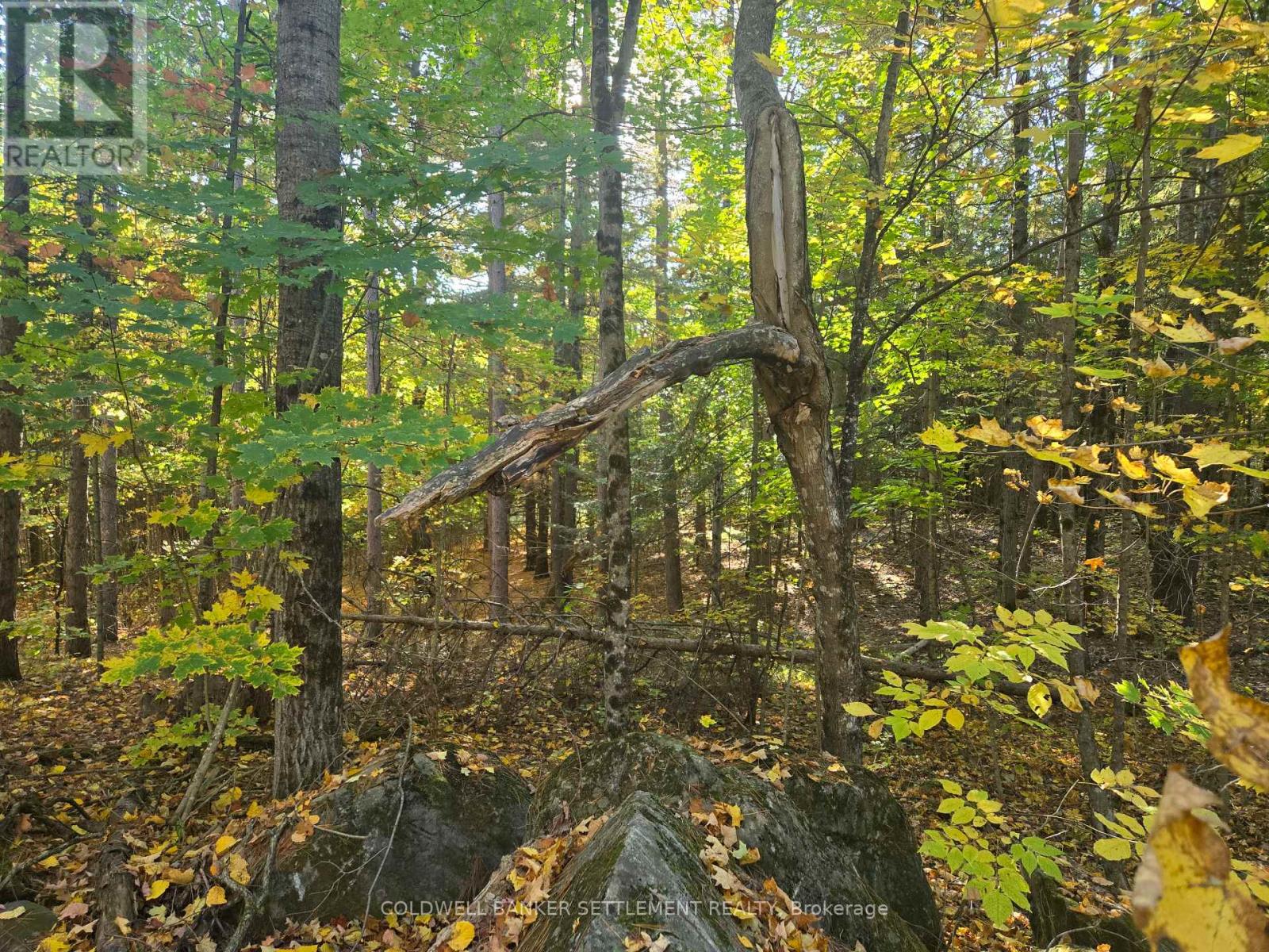 0 Dalhousie Con 4 Concession, Lanark Highlands, Ontario  K0G 1K0 - Photo 2 - X12436193