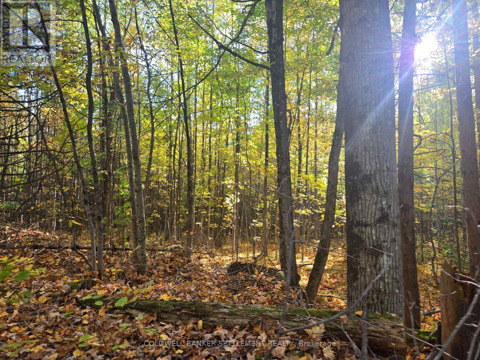 0 Dalhousie Con 4 Concession, Lanark Highlands, Ontario  K0G 1K0 - Photo 3 - X12436193