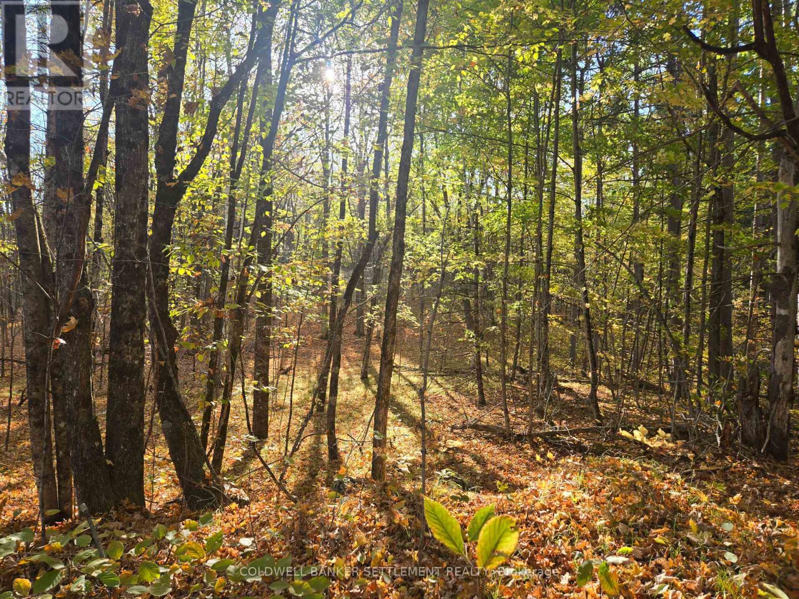 0 Dalhousie Con 4 Concession, Lanark Highlands, Ontario  K0G 1K0 - Photo 4 - X12436193