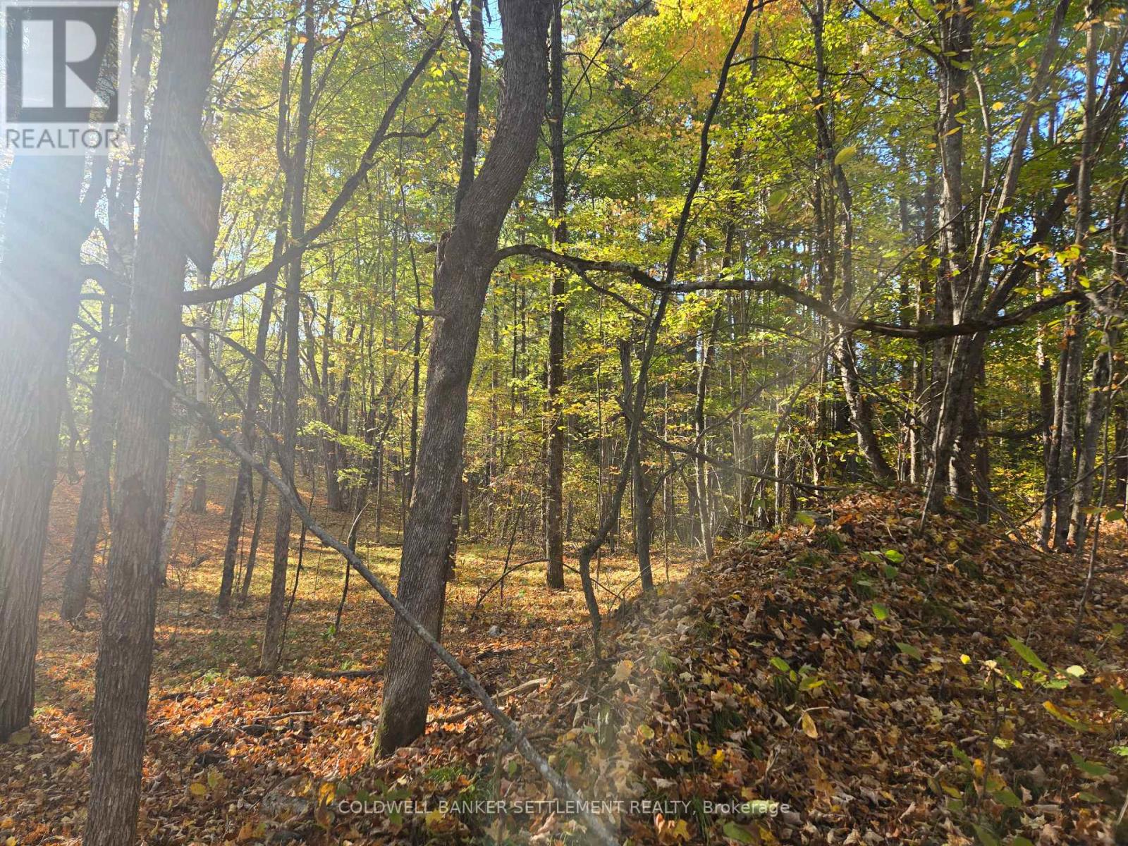 0 Dalhousie Con 4 Concession, Lanark Highlands, Ontario  K0G 1K0 - Photo 5 - X12436193