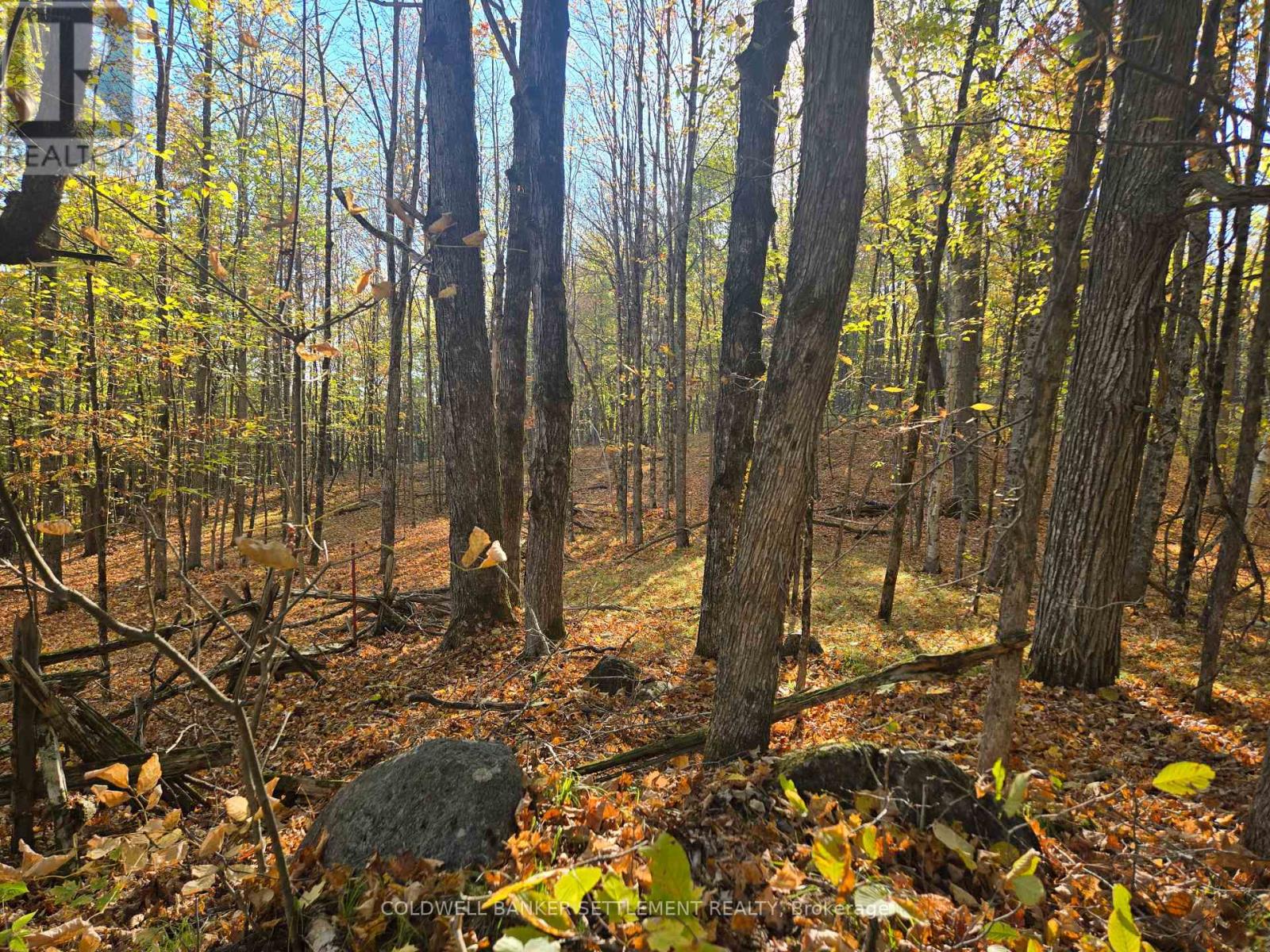 0 Dalhousie Con 4 Concession, Lanark Highlands, Ontario  K0G 1K0 - Photo 6 - X12436193