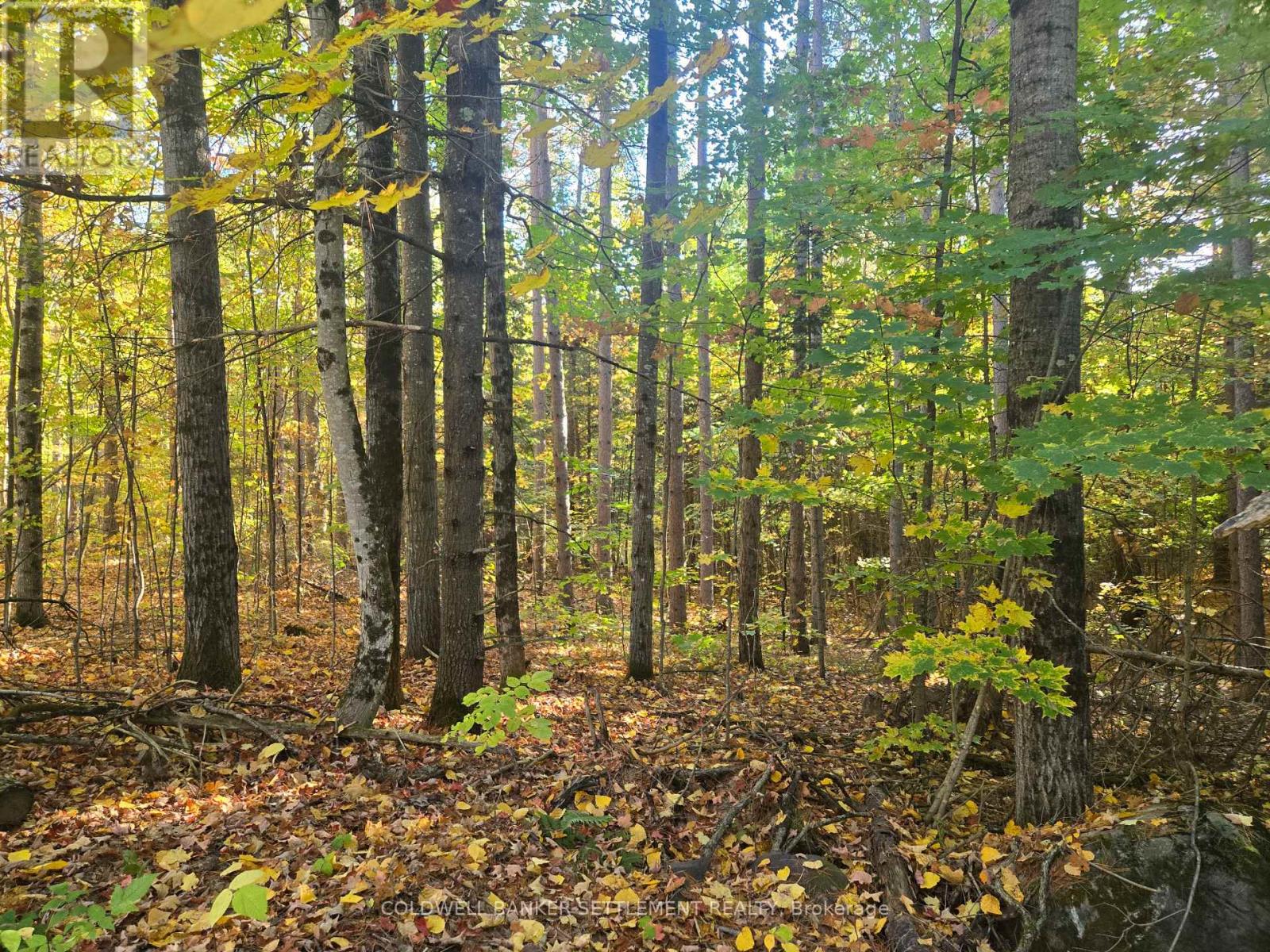 0 Dalhousie Con 4 Concession, Lanark Highlands, Ontario  K0G 1K0 - Photo 8 - X12436193