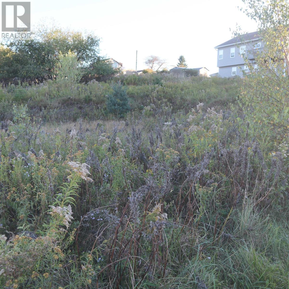 Lot 314 44 Poonam Court, Dartmouth, Nova Scotia  B2W 6E8 - Photo 3 - 202524693