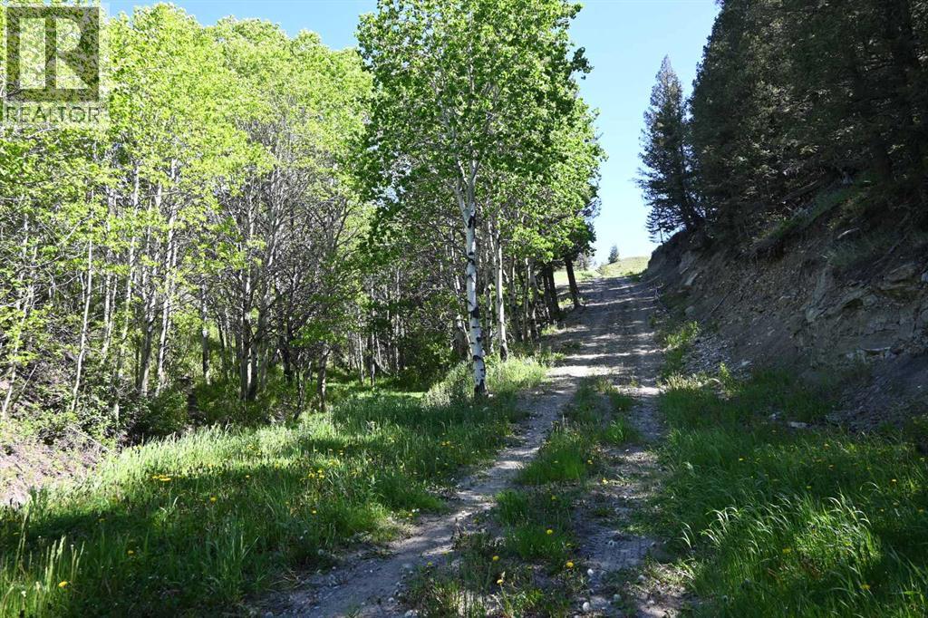 8416 Rge Rd 1-3, Rural Pincher Creek No. 9, Alberta  T0K 0P0 - Photo 43 - A2195197