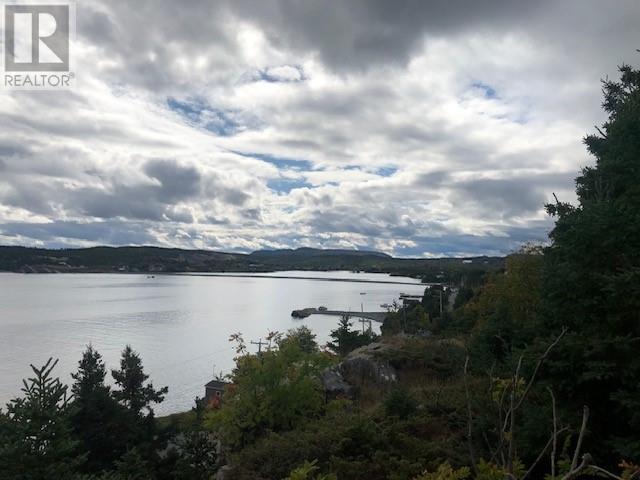 173b -177b Neck Road, Coley's Point, Newfoundland & Labrador  A0A 1G0 - Photo 3 - 1291025