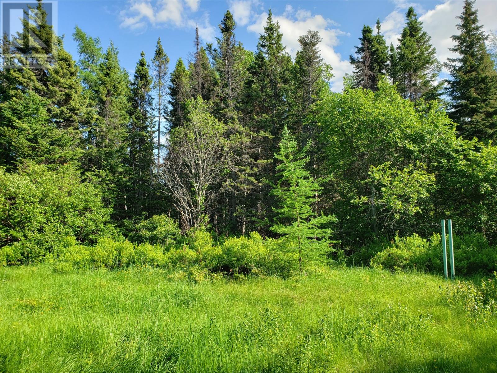 35-2 Angle Brook Road, Glovertown, Newfoundland & Labrador  A0G 2C0 - Photo 7 - 1277701