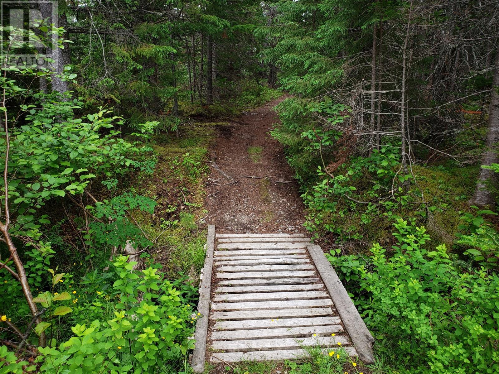 35-2 Angle Brook Road, Glovertown, Newfoundland & Labrador  A0G 2C0 - Photo 8 - 1277701