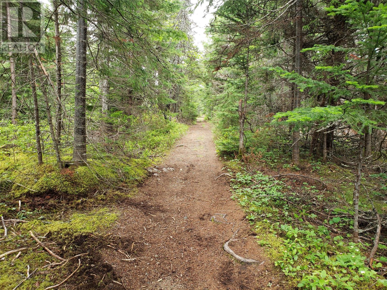 35-1 Angle Brook Road, Glovertown, Newfoundland & Labrador  A0G 2C0 - Photo 8 - 1277699
