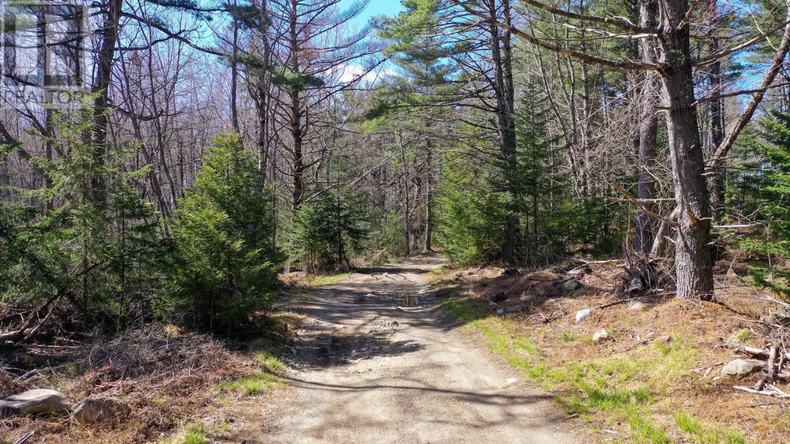Brier Hill Road, Upper Clyde, Nova Scotia  B0T 1W0 - Photo 6 - 202505394