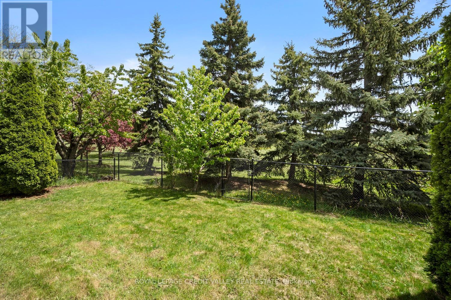 972 Winterton Way, Mississauga, Ontario  L5V 1M6 - Photo 31 - W12436126