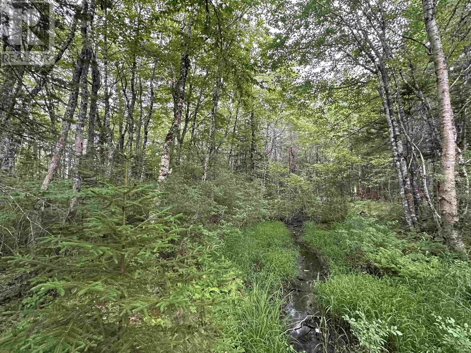 Lorem Ipsum Dolor Sit Am, Italy Cross, Nova Scotia  B4V  - Photo 6 - DEMO28584963