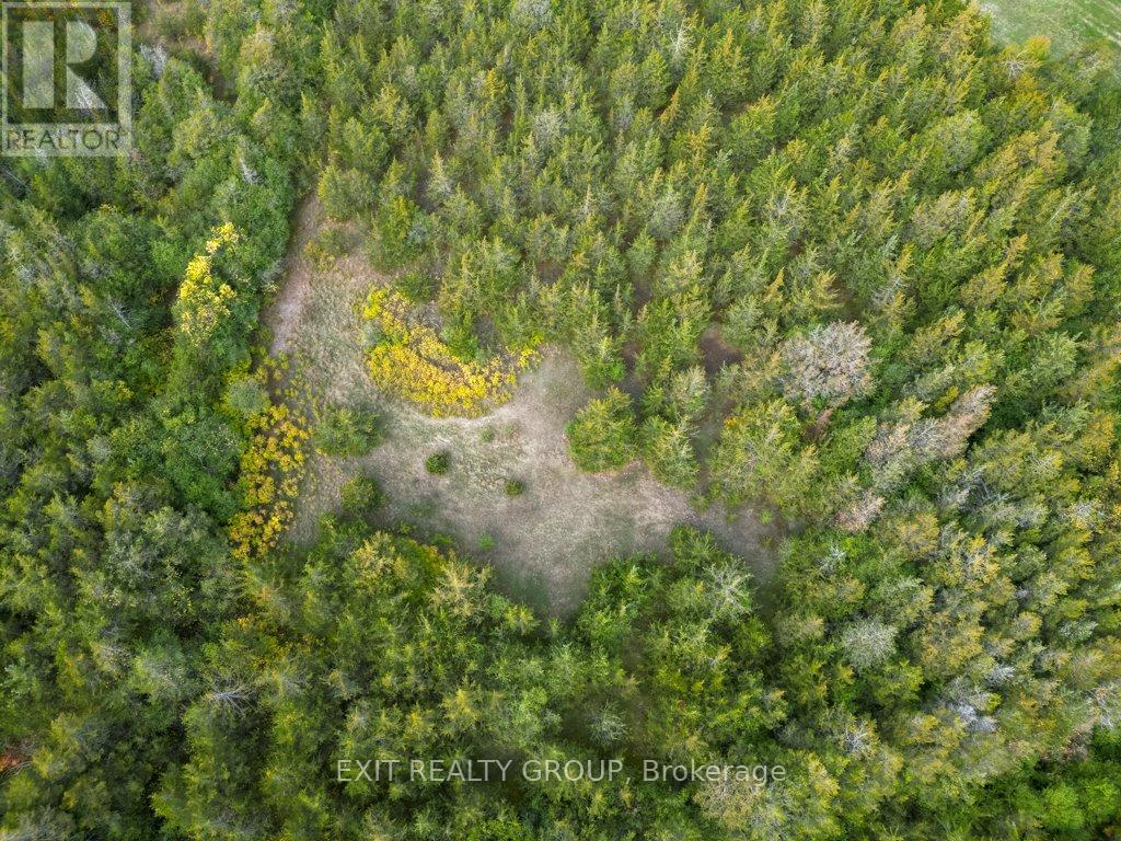 1774 North Big Island Road, Prince Edward County (Sophiasburg Ward), Ontario  K0K 1W0 - Photo 11 - X12436196