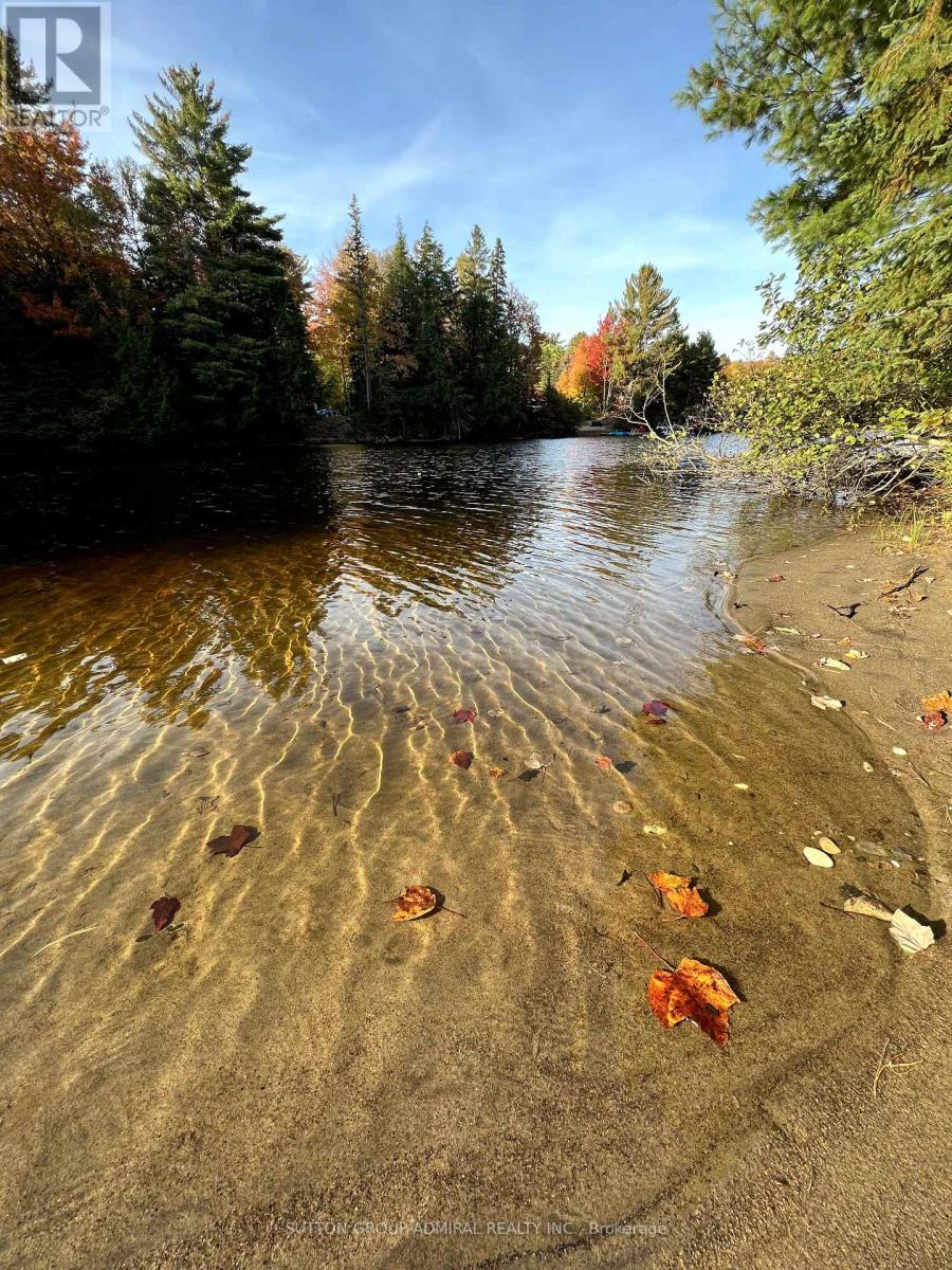 477 Balsam Chutes Road, Huntsville, Ontario  P0B 1L0 - Photo 29 - X12436138