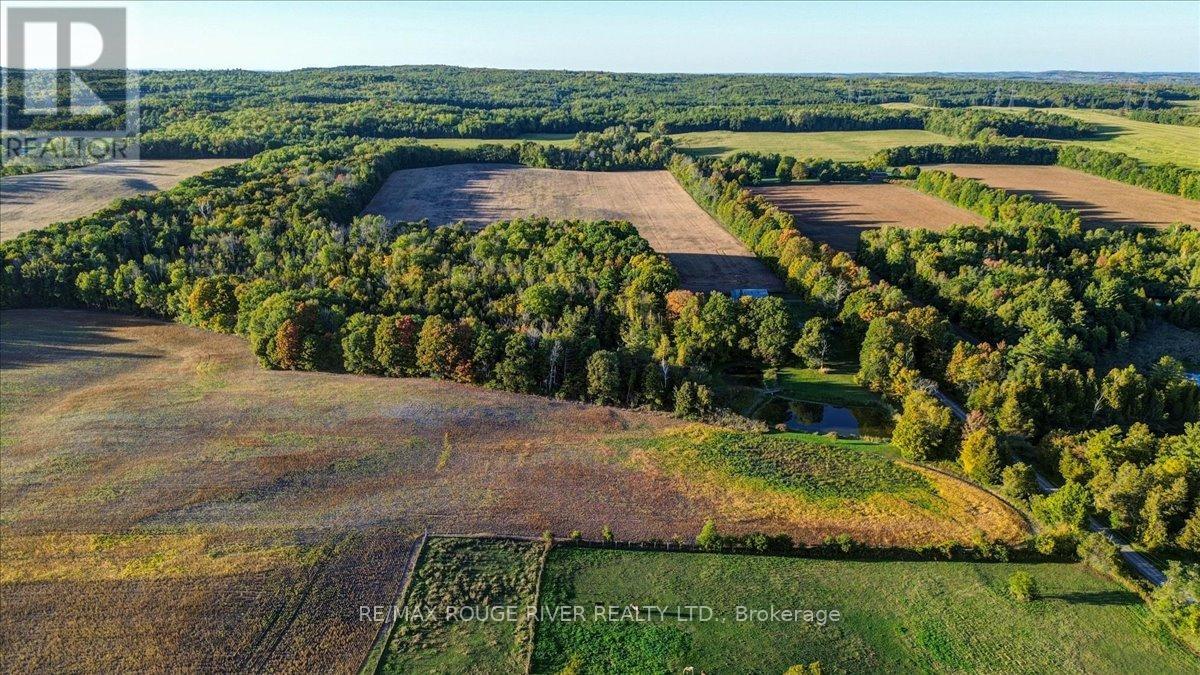 190 Mcbride Road, Alnwick/haldimand, Ontario K0K 1C0 - Photo 2 - X12436222