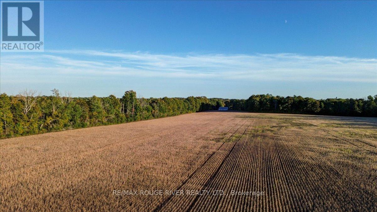 190 Mcbride Road, Alnwick/haldimand, Ontario K0K 1C0 - Photo 3 - X12436222