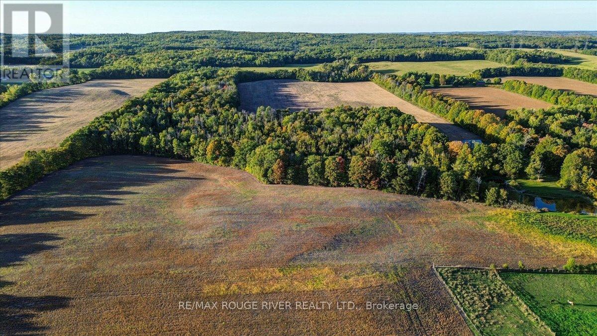 190 Mcbride Road, Alnwick/haldimand, Ontario K0K 1C0 - Photo 4 - X12436222