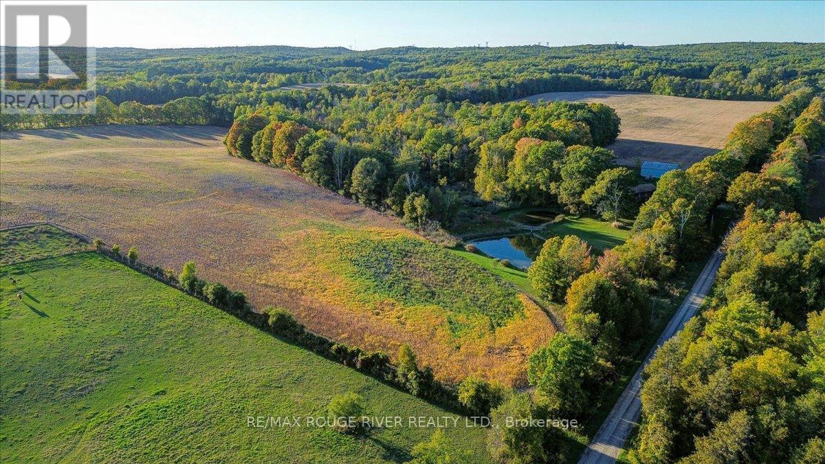 190 Mcbride Road, Alnwick/haldimand, Ontario K0K 1C0 - Photo 5 - X12436222