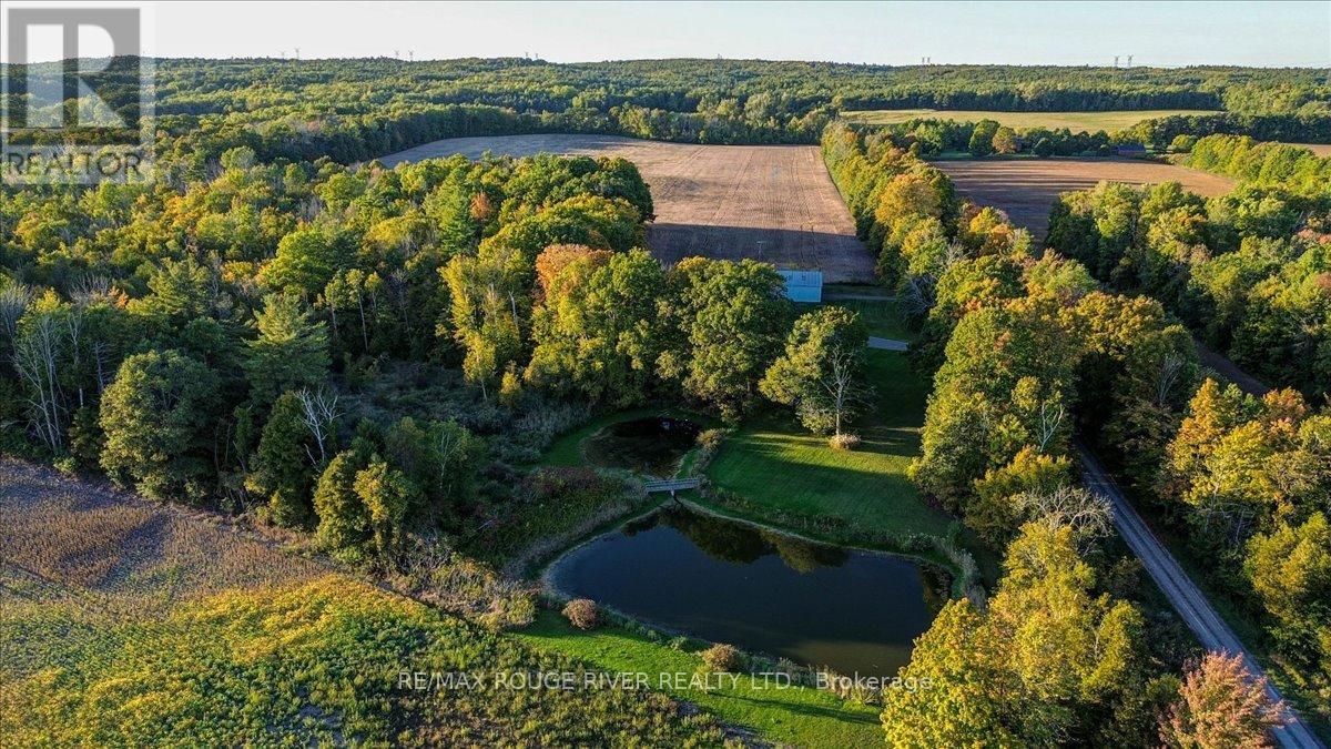 190 Mcbride Road, Alnwick/haldimand, Ontario K0K 1C0 - Photo 6 - X12436222