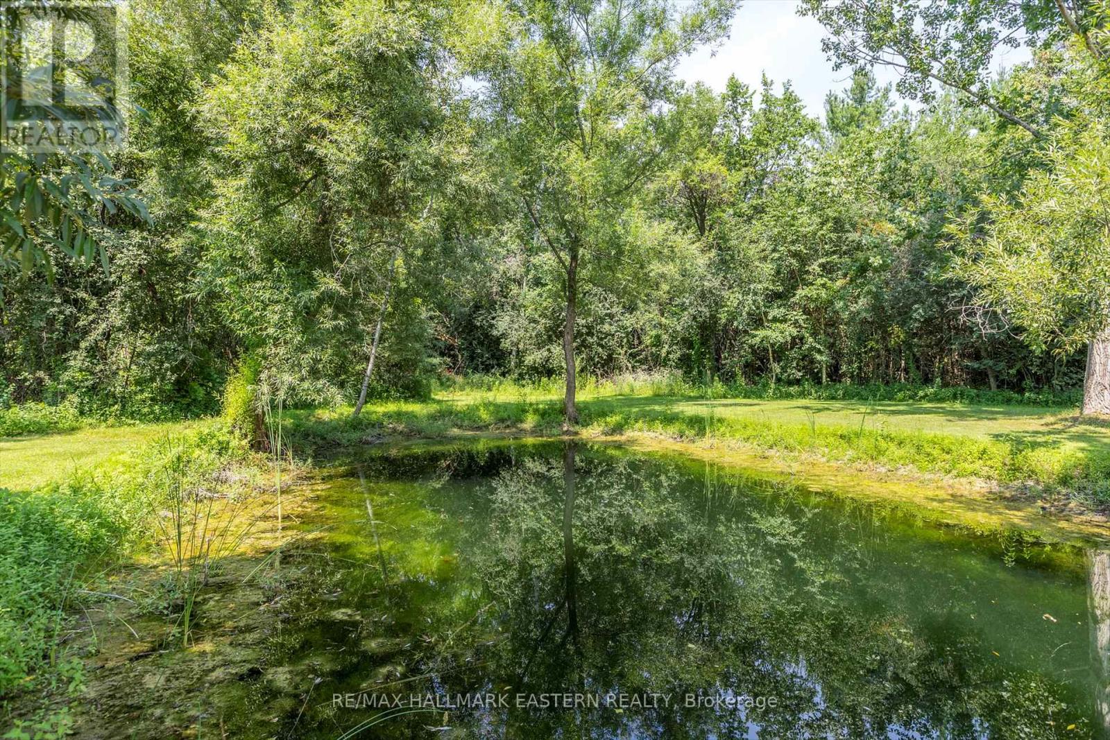 3072 Stu Black Road, Hamilton Township, Ontario  K9A 4J7 - Photo 46 - X12436307